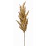 Ramo decorativo di erba della pampa con pannocchia BATERNO, marrone chiaro, 90 cm