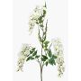 Ramo di glicine artificiale ONORATO con fiori, color crema, 70 cm