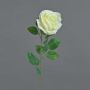 Rosa artificiale PEZOS, color crema, 60 cm, Ø 10 cm