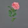 Rosa artificiale PEZOS, rosa-fucsia, 60 cm, Ø 10 cm