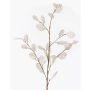 Ramo decorativo Lunaria BUELNA, color crema, 105cm