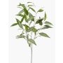 Ramo di ligustro artificiale JUSTEL, verde-grigio, 95 cm