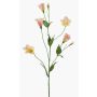 Ramo artificiale di lisianthus PAZAN, rosa-crema, 70 cm, Ø 3-5 cm