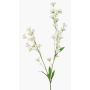 Ramo decorativo di ranuncolo LOTA, color crema, 90 cm, Ø 3-4 cm