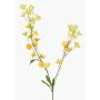 Ramo decorativo di ranuncolo LOTA, giallo chiaro, 90 cm, Ø 3-4 cm