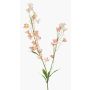 Ramo decorativo di ranuncolo LOTA, rosa, 90 cm, Ø 3-4 cm