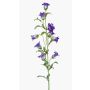 Fiore artificiale campanula AIMI, viola scuro-bianco, 90 cm, Ø 3-5 cm