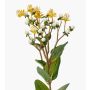 Ramo artificiale di iperico CANNO con fiori e frutti, giallo-bianco, 65 cm, Ø 3 cm