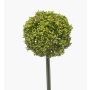 Fiore artificiale Allium TUXLON, verde, 75 cm