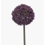 Fiore artificiale Allium TUXLON, viola scuro, 75 cm