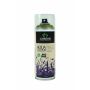 OASIS® Spray colorante Aqua Colour Spray, a base d'acqua, verde muschio chiaro, 400ml