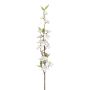 Ramo di fiori di melo artificiale KROVER con fiori, bianco, 80cm, Ø3-5cm