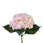 Fiore sintetico ortensia ZURTO, rosa chiaro, 55cm