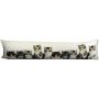 Paravento decorativo WEIDER con motivo gattino, multicolore-bianco, 90x20x10 cm