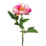 Fiore di plastica peonia PEFIN, rosa shocking, 50 cm