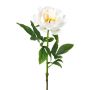 Fiore di plastica, peonia PEFIN, bianco, 50 cm