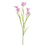 Ramo artificiale di campanula FLAVRON, rosa, 60 cm
