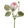 Fiore decorativo rosa ZORKLIN, rosa-crema, 45 cm, Ø 6,5 cm