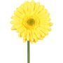 Fiore artificiale Gerbera TUNZA, giallo, 50 cm