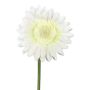 Fiore artificiale Gerbera TUNZA, color crema, 50 cm
