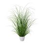 Erba decorativa pennisetum KIVRA in vaso decorativo, verde, 60cm
