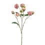 Ramo decorativo rosa cavolo TRUVOL, rosa-crema, 65 cm, Ø 2-6 cm