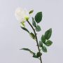Rosa artificiale SUNJIK, color crema, 75 cm, Ø 7 cm