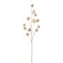 Ramo artificiale di physalis FRILTE con frutti, color champagne metallizzato, 90 cm