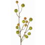 Ramo decorativo di melo ornamentale NONGIH con frutti, verde-arancione, 60cm