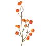 Ramo decorativo di melo ornamentale NONGIH con frutti, arancione, 60 cm