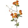 Ramo finto di cavolo e rose LORRAINE, Eco Collection, giallo-arancione, 60 cm, Ø 3 cm