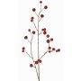 Ramo decorativo di melo ornamentale NONGIH con frutti, rosso scuro, 90cm