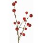 Ramo decorativo di melo ornamentale NONGIH con frutti, rosso scuro, 60cm
