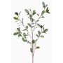 Ramo decorativo di eucalipto MERKAN, verde-grigio, 90 cm