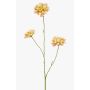 Ramo artificiale di scabiosa DIHALLY, giallo-pesca, 80cm, Ø8-9cm