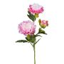 Ramo artificiale di peonia SLORMEK, rosa-bianco, 65 cm