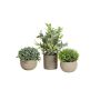 Composizione artificiale LAVADA con bosso, erba ornamentale, frangiradice, vaso decorativo, verde, 12-25 cm