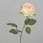 Rosa artificiale FINAKAS, rosa crema, 65 cm, Ø 9 cm