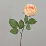 Rosa artificiale FINAKAS, color albicocca, 65 cm, Ø 9 cm