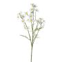 Ramo di camomilla artificiale WISOP, bianco, 75 cm, Ø 3,5-5 cm