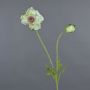 Fiore artificiale papavero MESOP, bianco-verde, 65 cm, Ø 9 cm