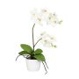 Orchidea Phalaenopsis in tessuto MORLEK, vaso in ceramica, radici, color crema, 60 cm
