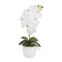 Orchidea Phalaenopsis in tessuto DRINTOR, vaso in ceramica, radici, bianca, 40cm