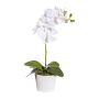 Orchidea Phalaenopsis in tessuto TRALKE, vaso decorativo, radici, bianco, 40cm