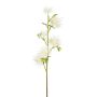 Ramo decorativo di cardo sferico ZORLIM, bianco, 55 cm