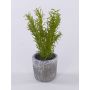 Erbe aromatiche artificiali: rosmarino POLINDA in vaso decorativo, verde, 26 cm