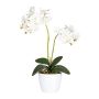 Orchidea Phalaenopsis in tessuto FRUXO, vaso in ceramica, radici, bianco, 50cm