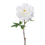Fiore di peonia in plastica GLOUT, bianco, 65 cm