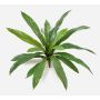 Asplenium artificiale JANE, verde, 40 cm