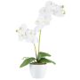 Orchidea Phalaenopsis in tessuto KRUZBER, vaso in ceramica, radici, bianco, 55 cm